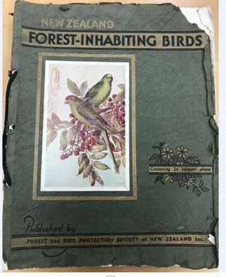 story: 100 years of Forest & Bird