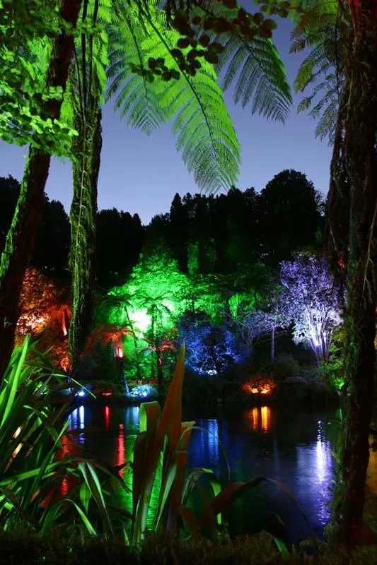 Festival of Lights at Pukekura Park. Image from the Puke Ariki collection.