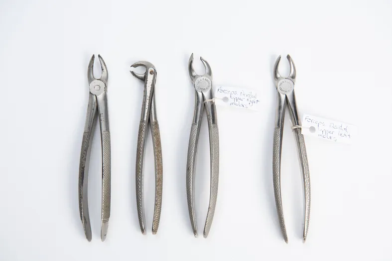 Various instruments from Dr Eleanor Baker McLaglan’s doctor’s bag. Collection of Northland Medical Museum. Photography: Ellen Smith.